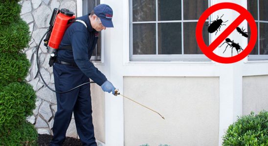 Eşrefpaşa Böcek ve Haşere İlaçlama böcek ilaçlama ve haşere kontrolü — ilaclama-tr.com